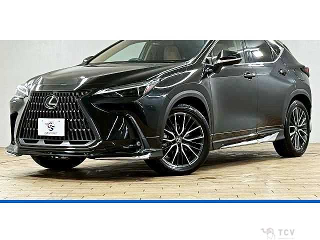 2022 Lexus NX
