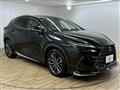 2022 Lexus NX