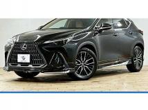 2022 Lexus NX