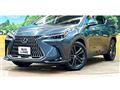 2022 Lexus NX