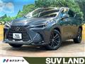 2022 Lexus NX