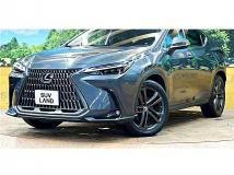 2022 Lexus NX