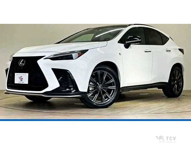2022 Lexus NX