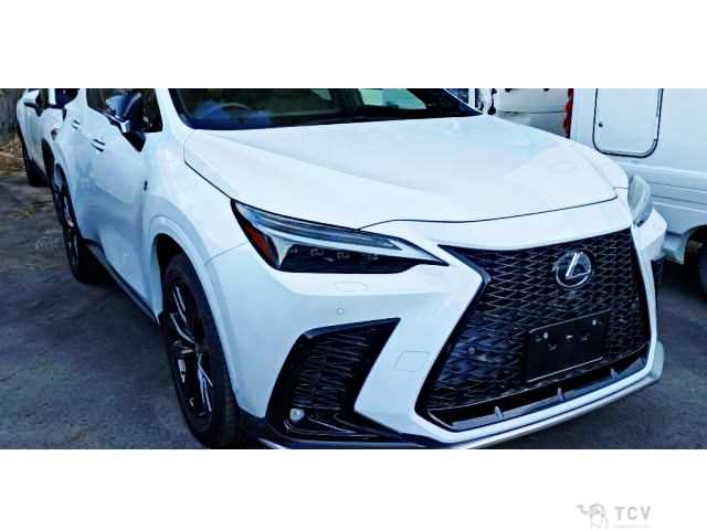 2022 Lexus NX