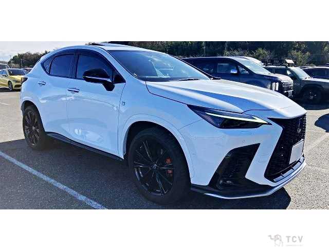 2022 Lexus NX