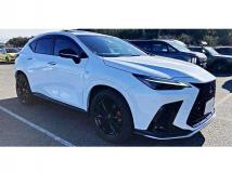 2022 Lexus NX