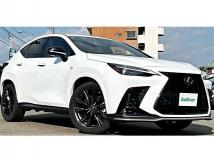 2022 Lexus NX