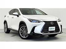 2022 Lexus NX