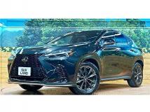 2022 Lexus NX
