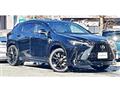 2022 Lexus NX