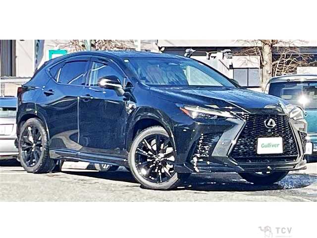 2022 Lexus NX
