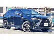 2022 Lexus NX
