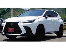 2022 Lexus NX