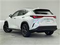 2022 Lexus NX