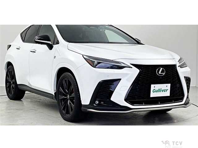 2022 Lexus NX