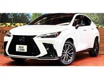 2022 Lexus NX