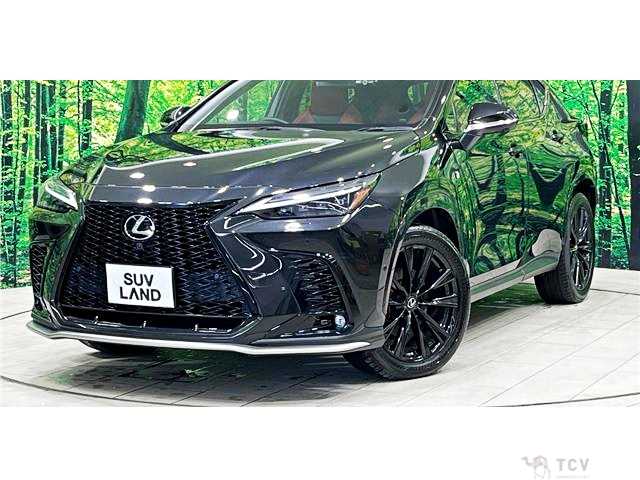 2022 Lexus NX