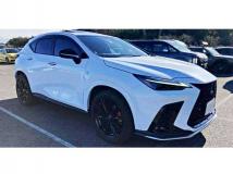 2022 Lexus NX