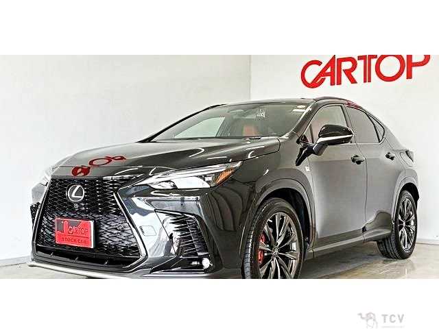 2022 Lexus NX