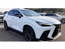 2022 Lexus NX