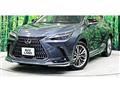 2022 Lexus NX