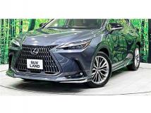 2022 Lexus NX