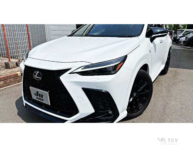 2022 Lexus NX