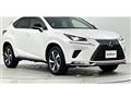 2021 Lexus NX