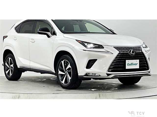 2021 Lexus NX