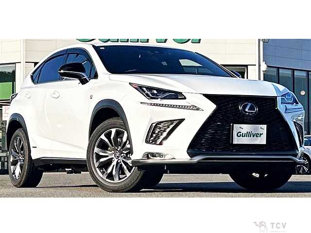 2021 Lexus NX
