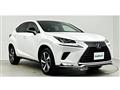 2021 Lexus NX