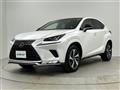 2021 Lexus NX