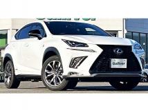 2021 Lexus NX