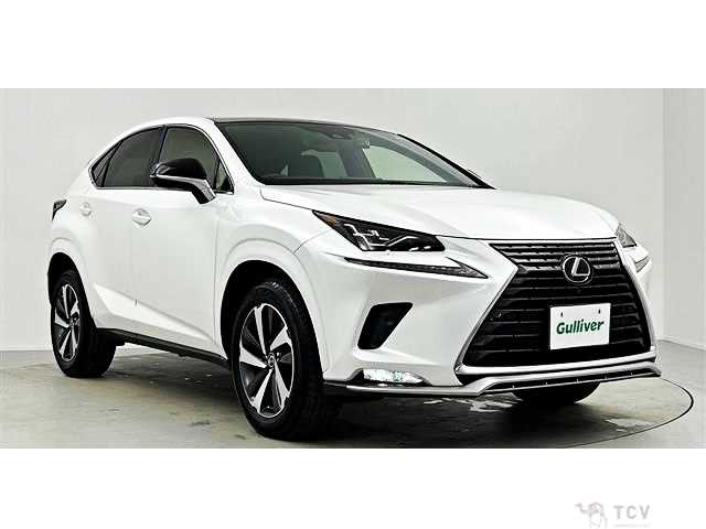 2021 Lexus NX