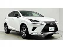 2021 Lexus NX
