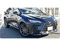 2021 Lexus NX