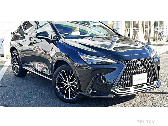 2021 Lexus NX