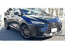 2021 Lexus NX