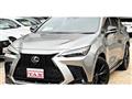 2021 Lexus NX