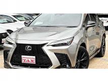 2021 Lexus NX