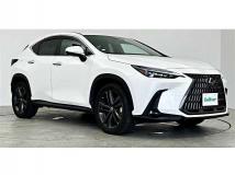 2021 Lexus NX