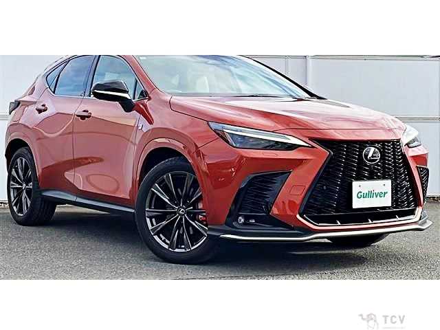 2021 Lexus NX