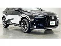 2021 Lexus NX