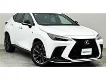 2021 Lexus NX