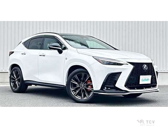 2021 Lexus NX