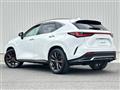 2021 Lexus NX