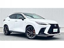 2021 Lexus NX