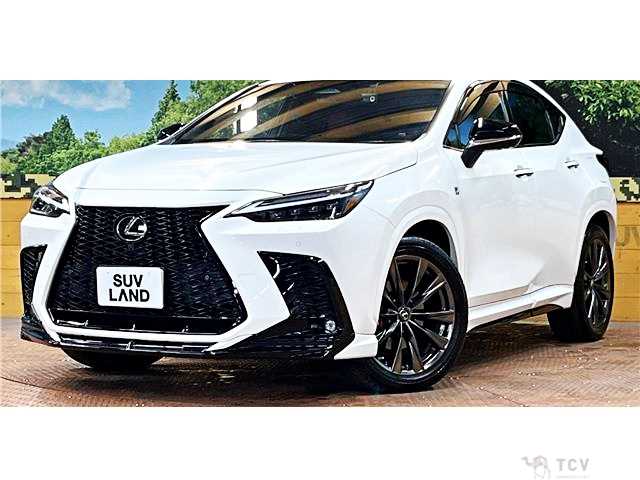2021 Lexus NX