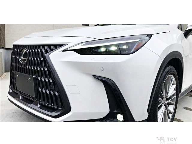 2021 Lexus NX