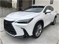 2021 Lexus NX